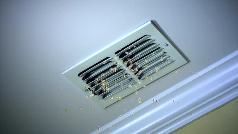Best Local Air Duct Cleaning Services  in Crested Butte, CO