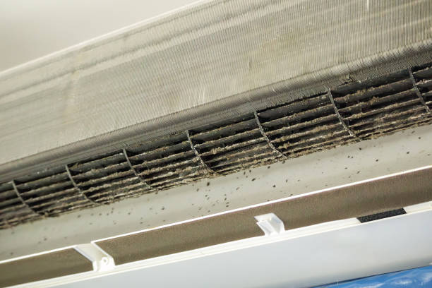 Best Best Air Duct Cleaning Company  in Crested Butte, CO