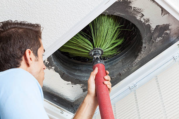 Best Emergency Air Duct Cleaning  in Crested Butte, CO